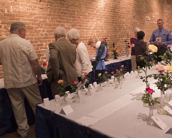 Judging Arrangements and Minis